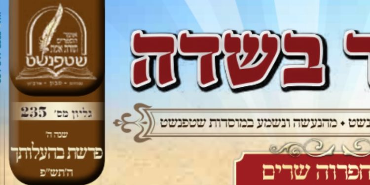 להורדה: גליון שטפנשט 'באר בשדה' 235 לפרשת בהעלותך תש"פ
