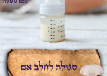סגולה לחלב אם - שטפנשט