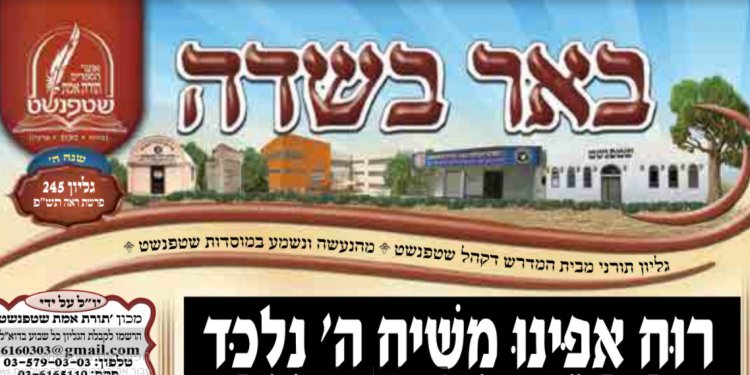 עלון שטפנשט באר בשדה 245