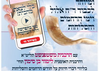 הפרשת חלה שטפנשט - פרשת שופטים