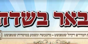 באר בשדה. עלון שטפנשט