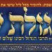 סגולת שלום. פרובישט